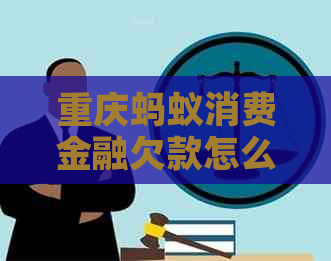 重庆蚂蚁消费金融欠款怎么还