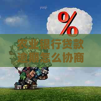 农业银行贷款逾期怎么协商还款