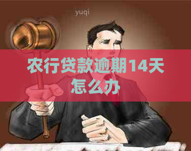 农行贷款逾期14天怎么办