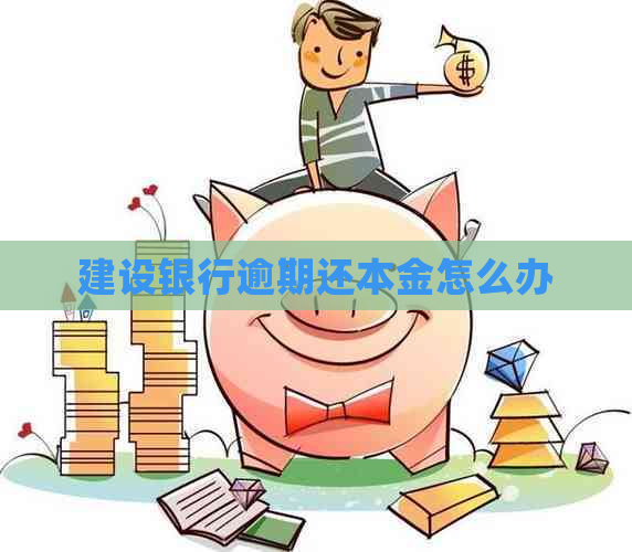 建设银行逾期还本金怎么办