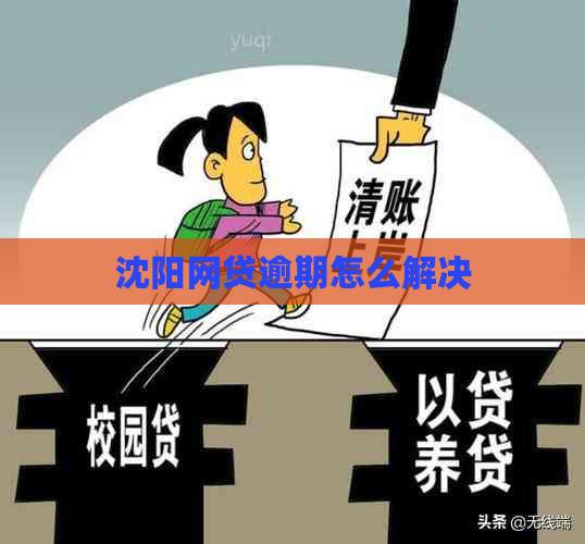 沈阳网贷逾期怎么解决