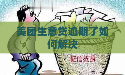 美团生意贷逾期了如何解决