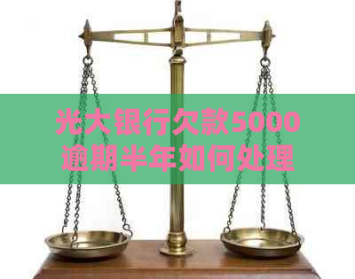 光大银行欠款5000逾期半年如何处理