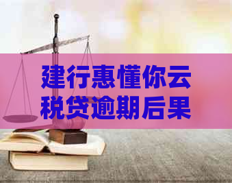 建行惠懂你云税贷逾期后果及处理方式