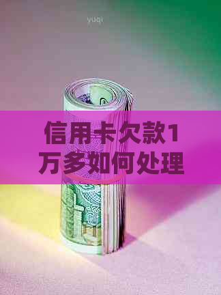 信用卡欠款1万多如何处理