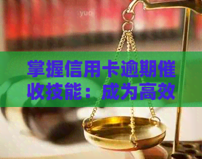 掌握信用卡逾期技能：成为高效员的必要素质与能力分析