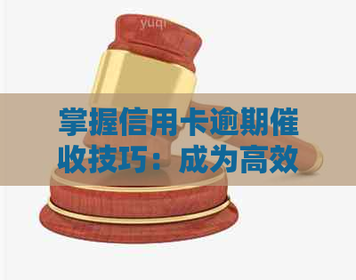 掌握信用卡逾期技巧：成为高效员所需的关键素质与能力