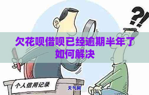 欠花呗借呗已经逾期半年了如何解决