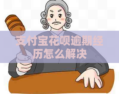 支付宝花呗逾期经历怎么解决