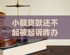 小额贷款还不起被起诉咋办