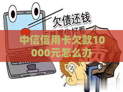 中信信用卡欠款10000元怎么办