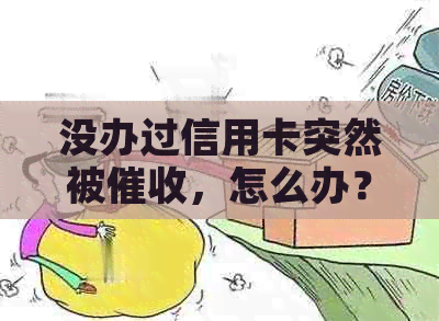 没办过信用卡突然被，怎么办？