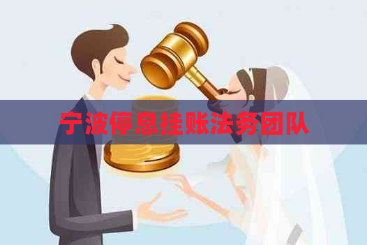 宁波停息挂账法务团队