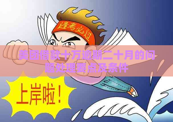 美团借款十万逾期二十月的问题处理要点及条件