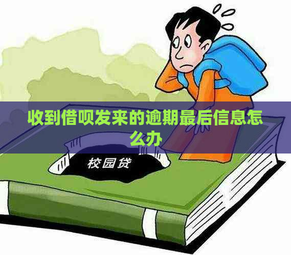 收到借呗发来的逾期最后信息怎么办