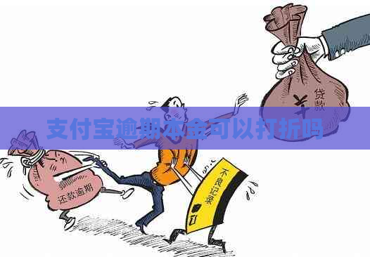 支付宝逾期本金可以打折吗