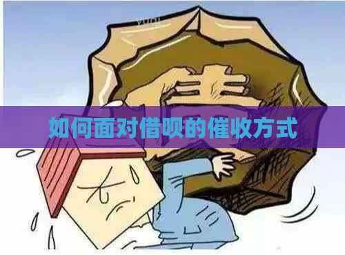 如何面对借呗的方式