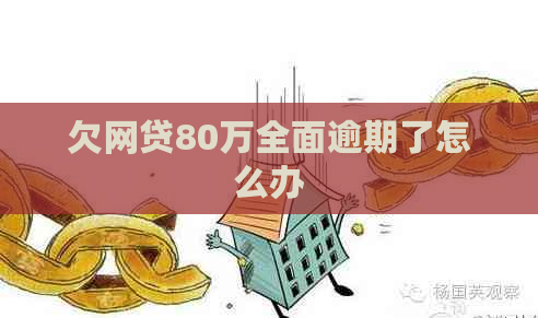 欠网贷80万全面逾期了怎么办