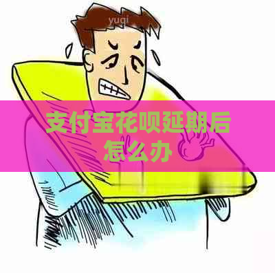 支付宝花呗延期后怎么办