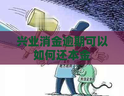 兴业消金逾期可以如何还本金