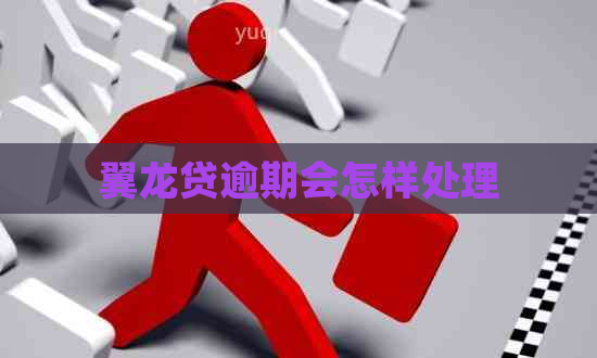 翼龙贷逾期会怎样处理