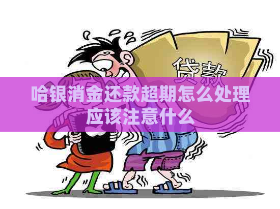 哈银消金还款超期怎么处理应该注意什么