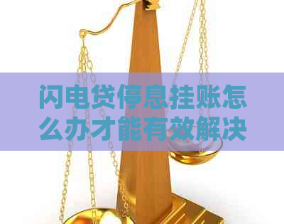 闪电贷停息挂账怎么办才能有效解决问题