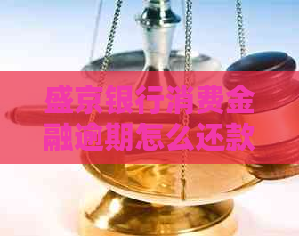 盛京银行消费金融逾期怎么还款流程详解