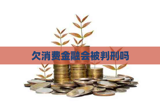 欠消费金融会被判刑吗