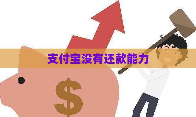 支付宝没有还款能力