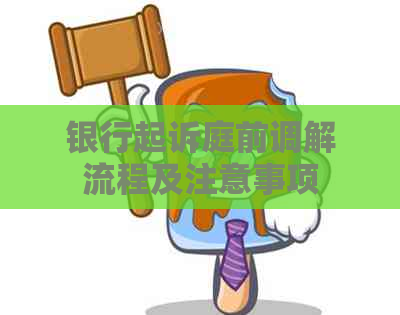 银行起诉庭前调解流程及注意事项