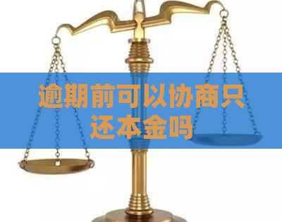 逾期前可以协商只还本金吗