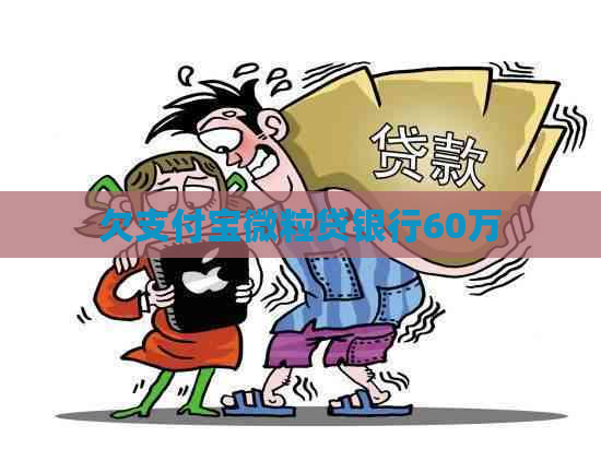 欠支付宝微粒贷银行60万