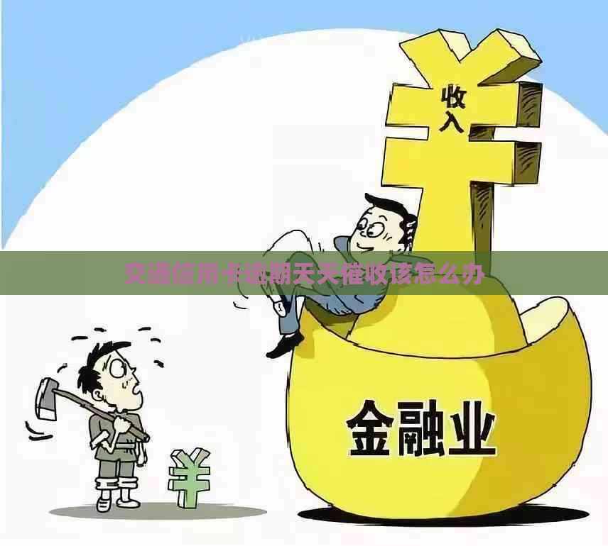 交通信用卡逾期天天该怎么办
