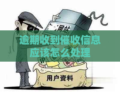 逾期收到信息应该怎么处理