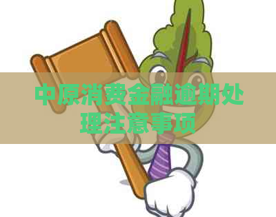 中原消费金融逾期处理注意事项