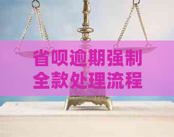 省呗逾期强制全款处理流程