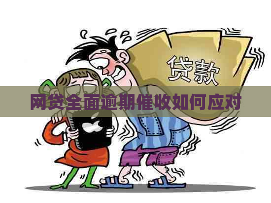 网贷全面逾期如何应对