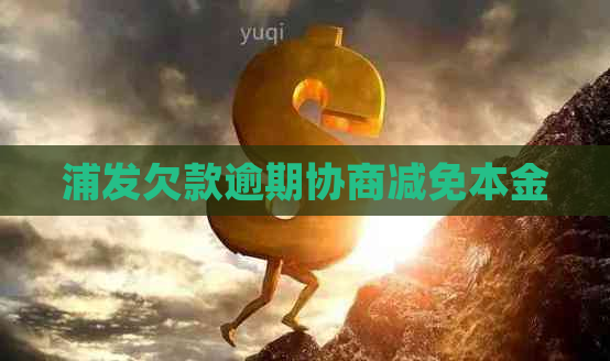 浦发欠款逾期协商减免本金