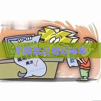 小象优品逾期半年