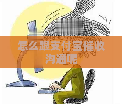 怎么跟支付宝沟通呢