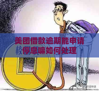 美团借款逾期能申请停息嘛如何处理