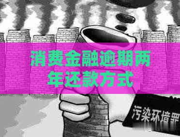 消费金融逾期两年还款方式