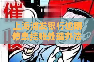 上海浦发银行逾期停息挂账处理办法与技巧