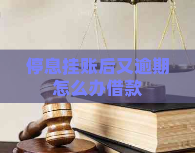 停息挂账后又逾期怎么办借款