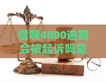 借呗4800逾期会被起诉吗需要注意哪些问题