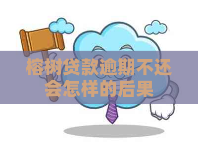 榕树贷款逾期不还会怎样的后果