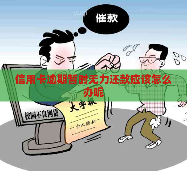 信用卡逾期暂时无力还款应该怎么办呢