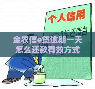 金农信e贷逾期一天怎么还款有效方式