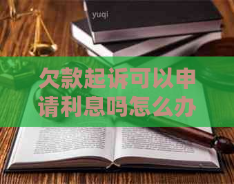 欠款起诉可以申请利息吗怎么办理